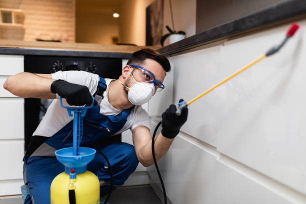 Flea Control Services in Watseka, IL