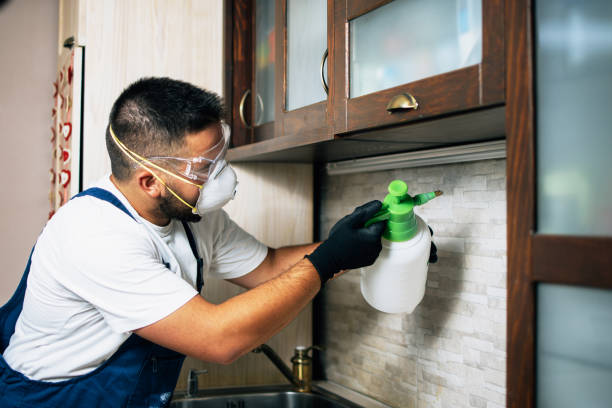 Best Cockroach Control Services  in Watseka, IL