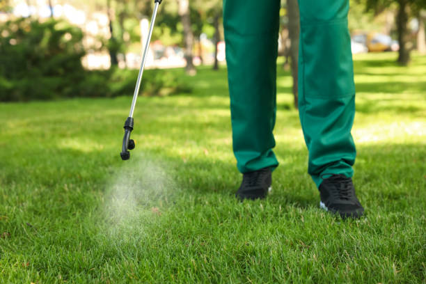 Best Pest Removal Services  in Watseka, IL