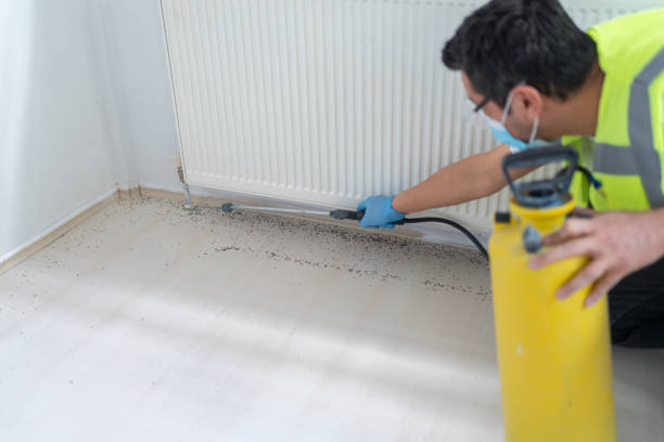 Best Pest Control Near Me  in Watseka, IL
